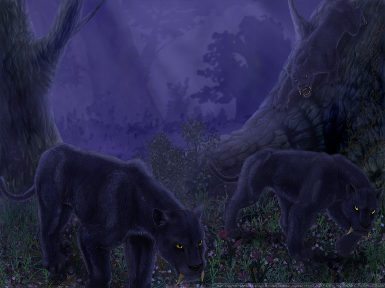pride of lions surrounding prey pics pride of lions surrounding prey pics